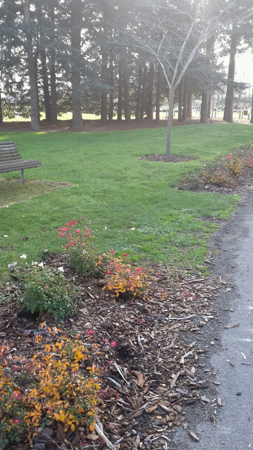 The photograph attached to this parks report