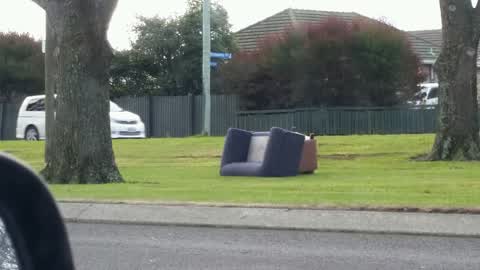 Rubbish/Recycling, a report photo