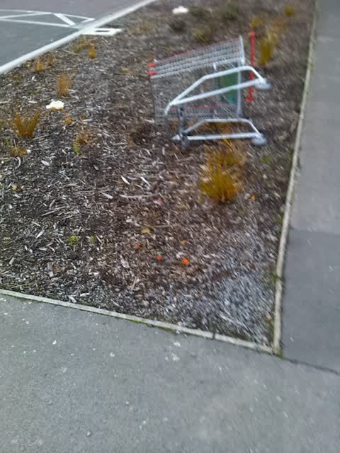 Rubbish/Recycling, a report photo