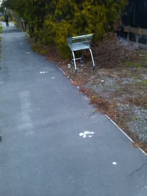 Rubbish/Recycling — a report photo