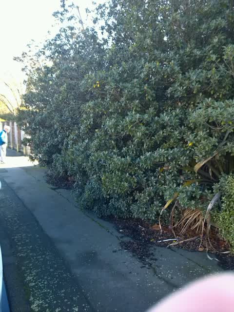 Roading/Streets, a report photo