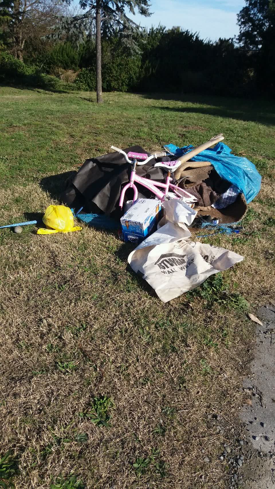 The photograph attached to this rubbish/recycling report