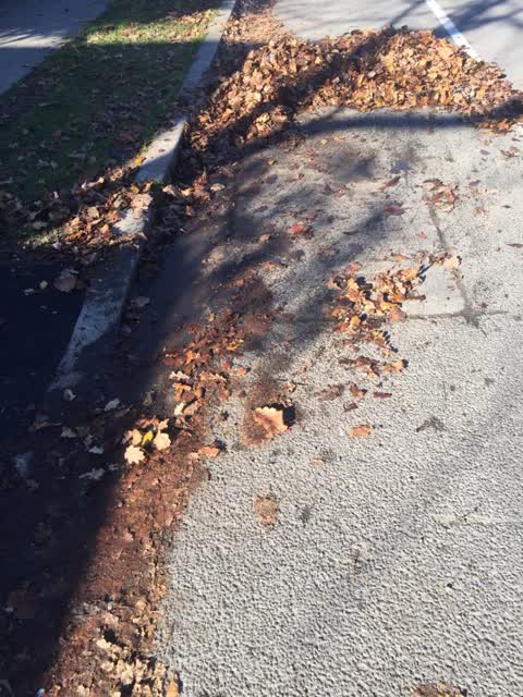 Roading/Streets, a report photo