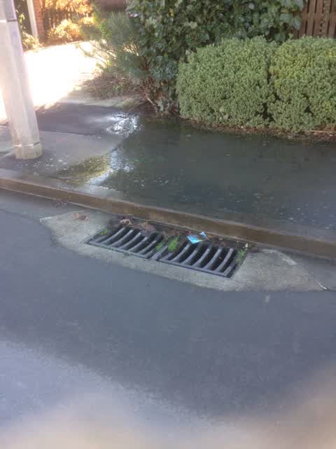 Water Supply, a report photo