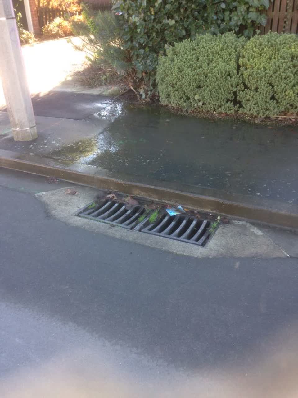 The photograph attached to this water supply report