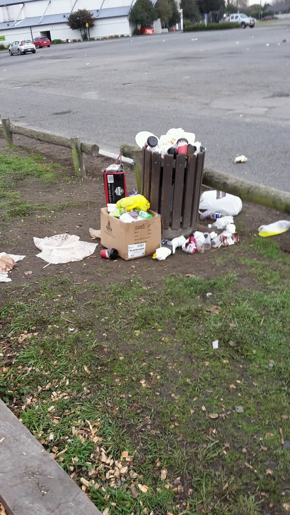 The photograph attached to this parks report