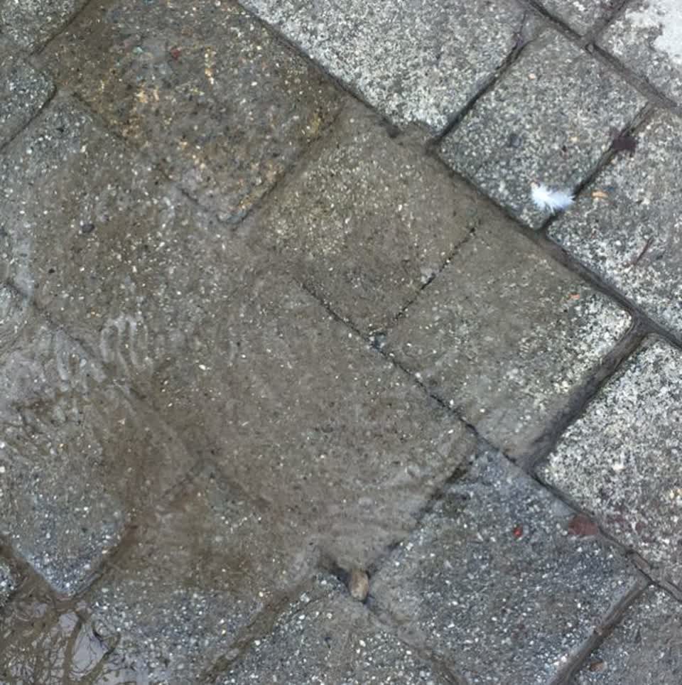 The photograph attached to this water supply report