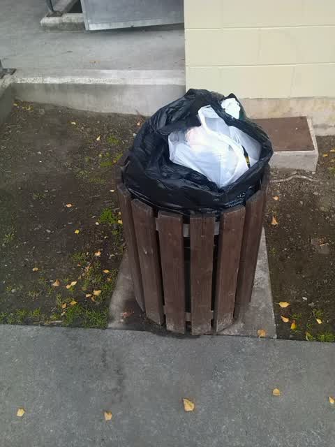Rubbish/Recycling — a report photo