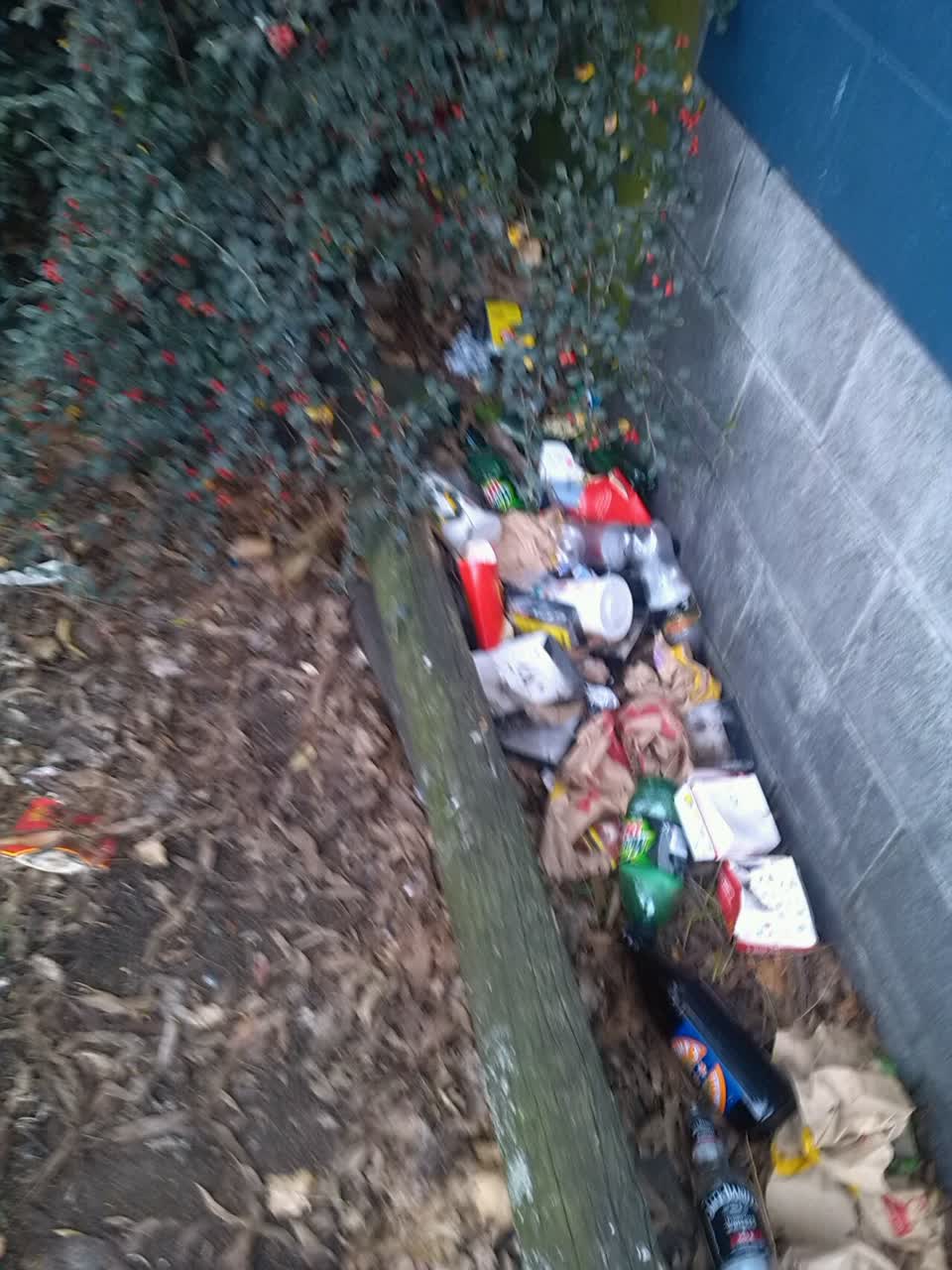 The photograph attached to this rubbish/recycling report