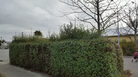 Roading/Streets, a report photo