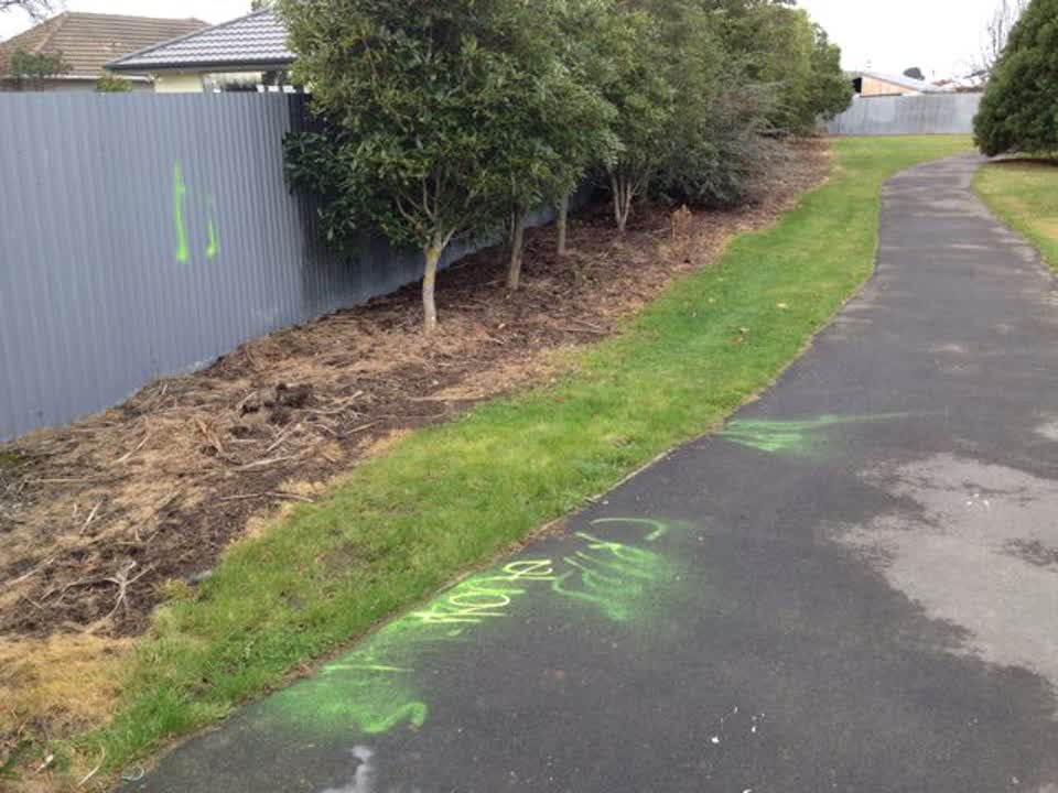 The photograph attached to this graffiti report