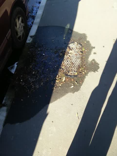 Water Supply, a report photo