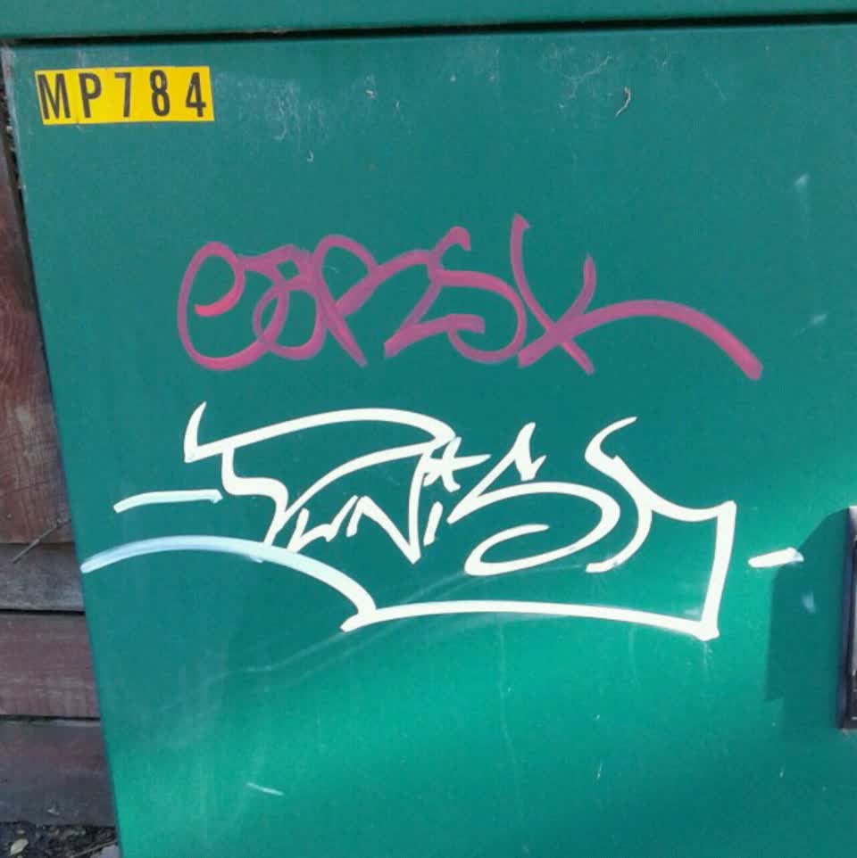 The photograph attached to this graffiti report