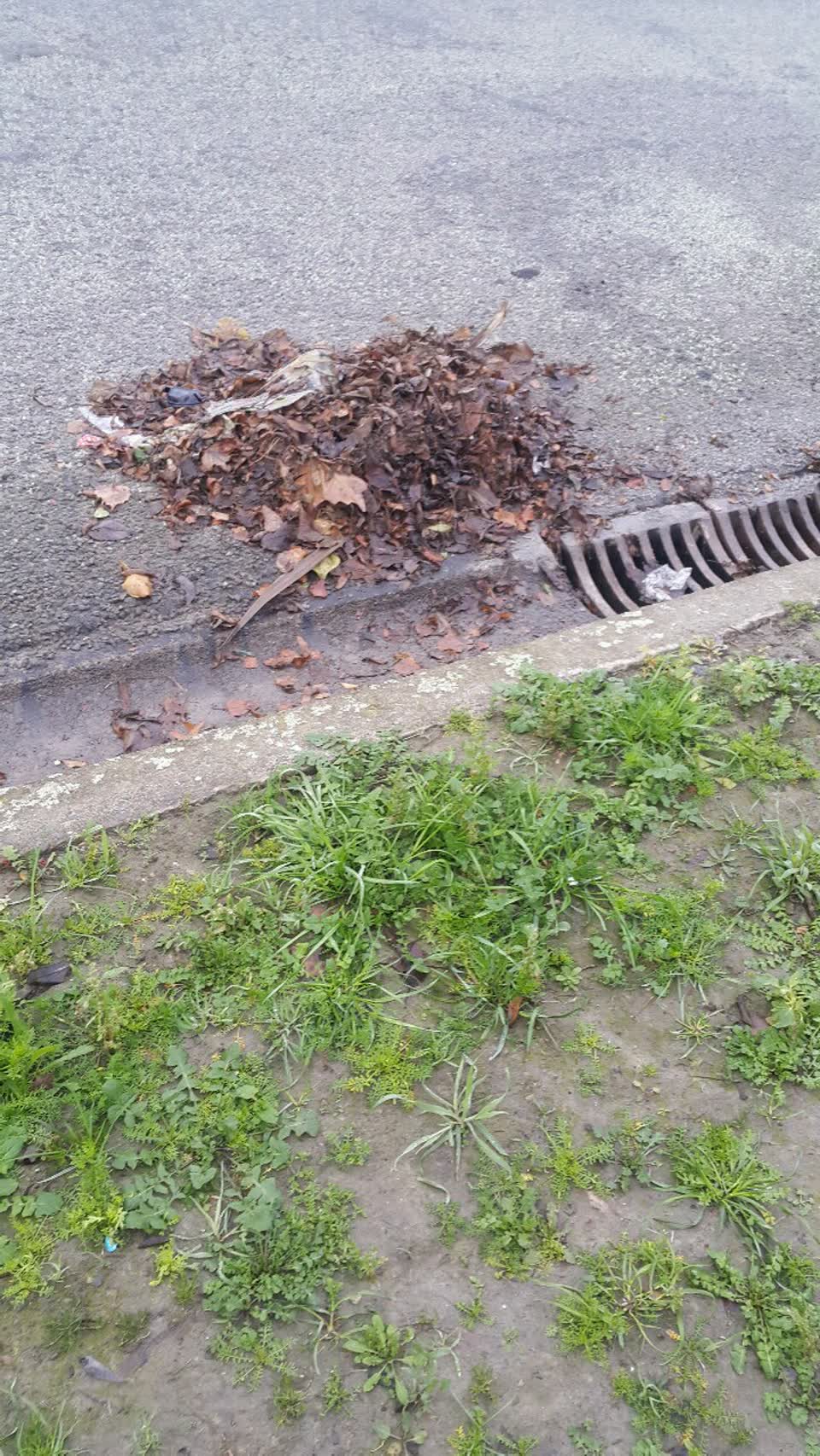 The photograph attached to this wastewater/stormwater report