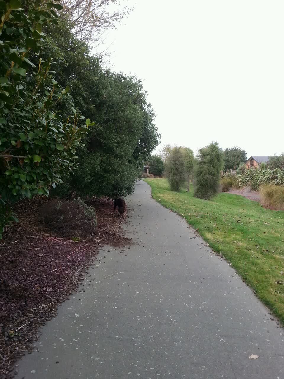 The photograph attached to this parks report