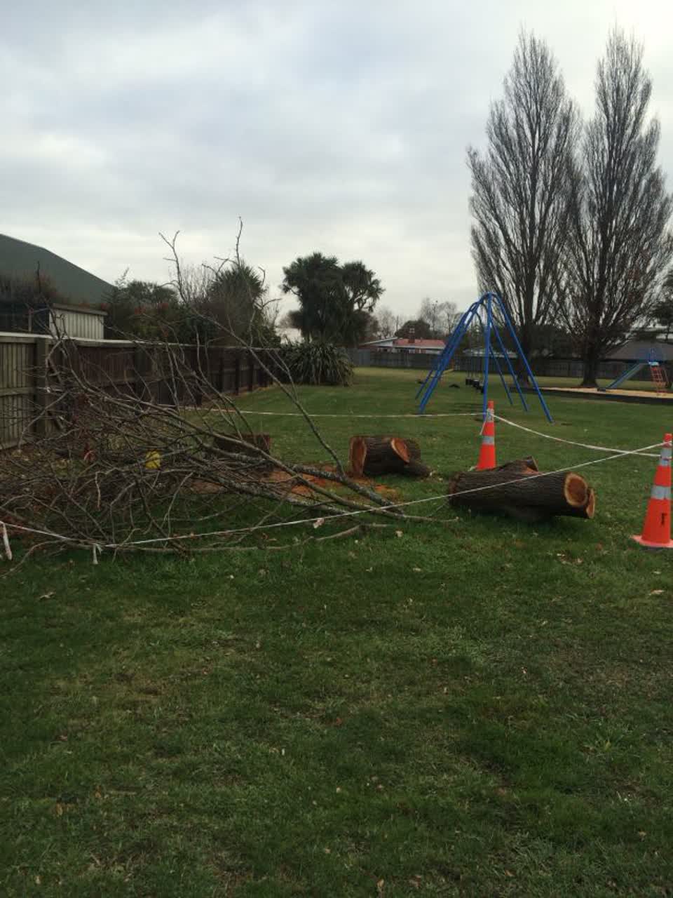 The photograph attached to this parks report