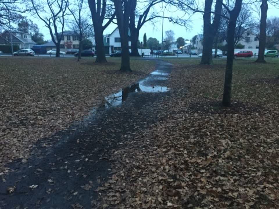 The photograph attached to this parks report