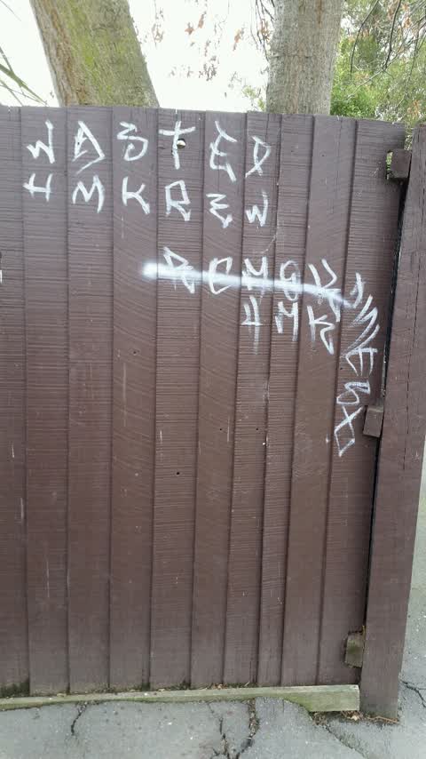 Graffiti, a report photo