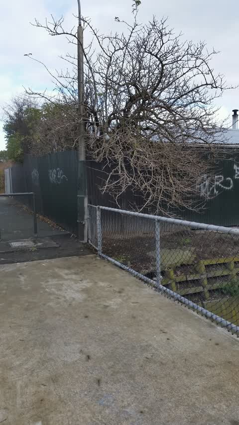 Graffiti — a report photo