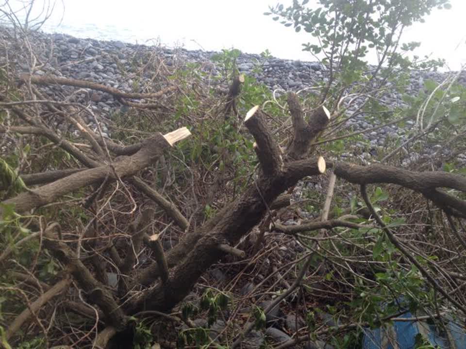 The photograph attached to this parks report
