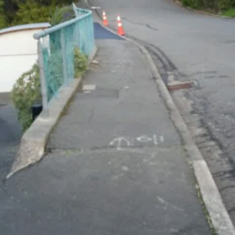 Roading/Streets, a report photo