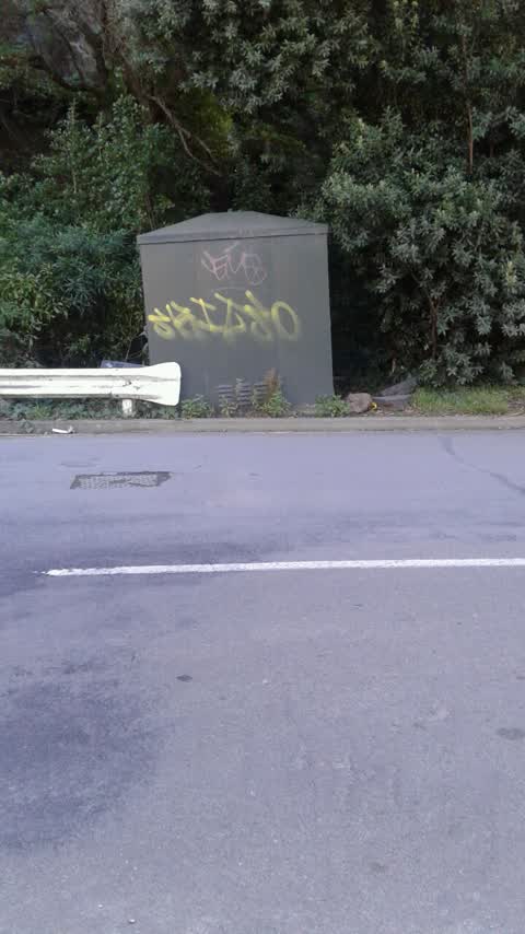 Graffiti, a report photo