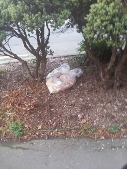 Rubbish/Recycling, a report photo