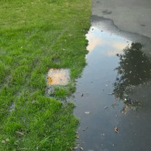 Wastewater/Stormwater, a report photo