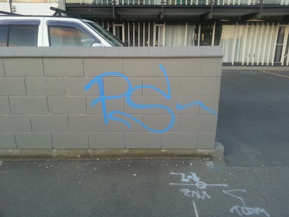 The photograph attached to this graffiti report