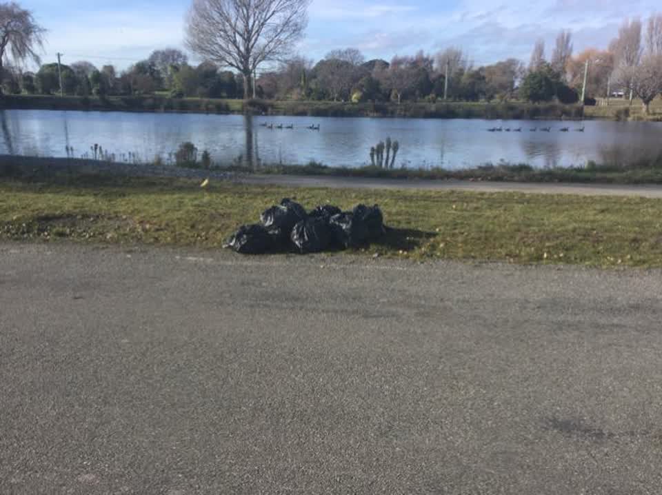The photograph attached to this rubbish/recycling report