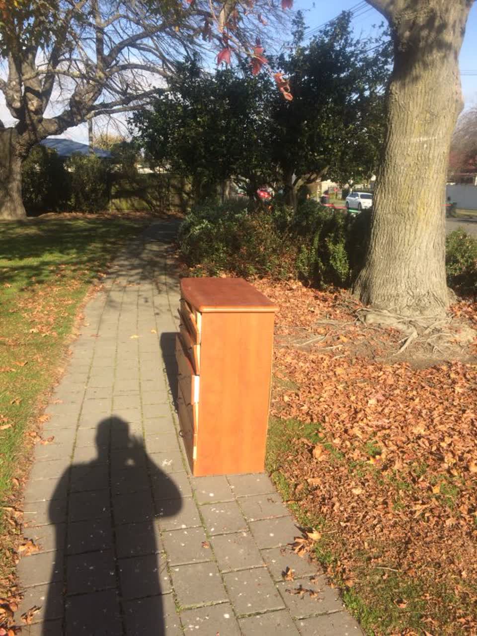 The photograph attached to this parks report