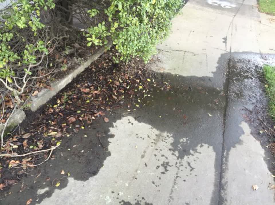 The photograph attached to this water supply report