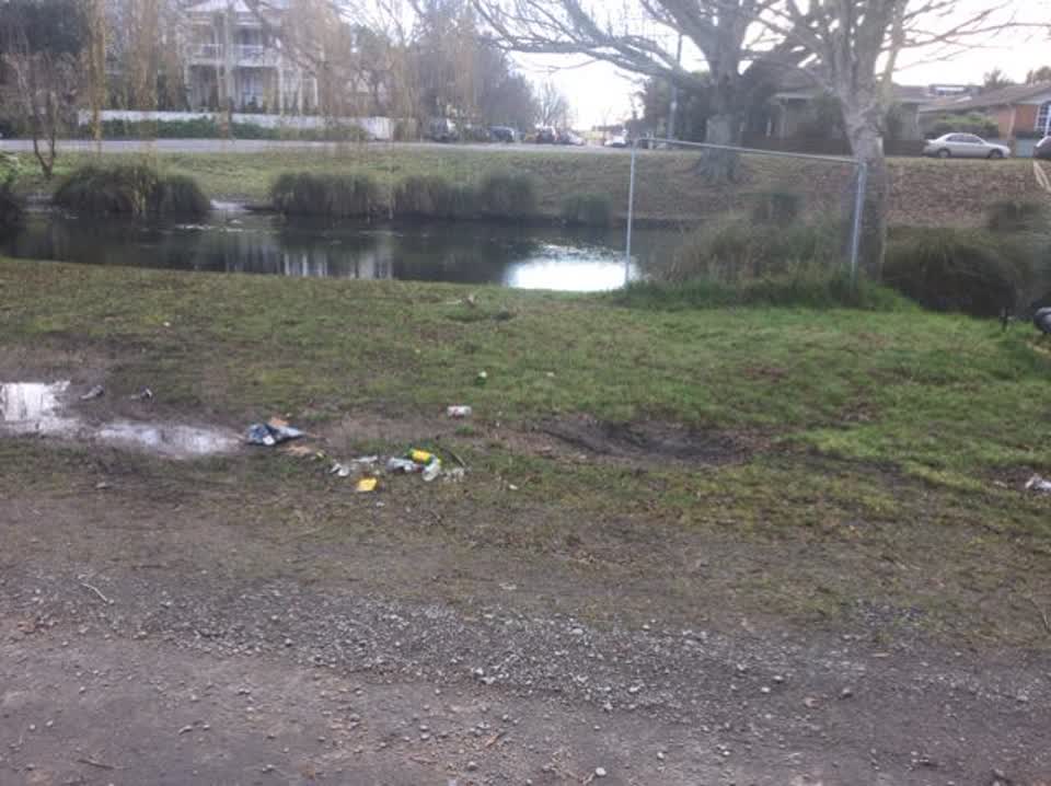 The photograph attached to this rubbish/recycling report