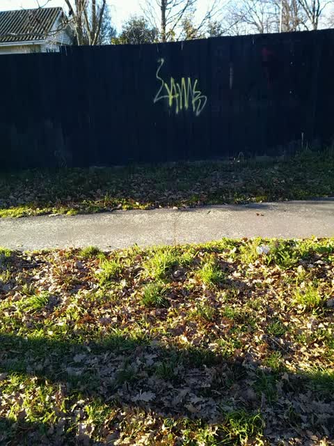 Graffiti, a report photo