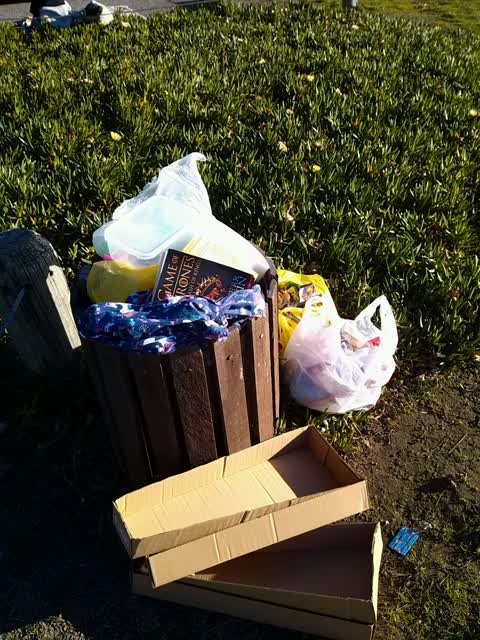 Rubbish/Recycling, a report photo
