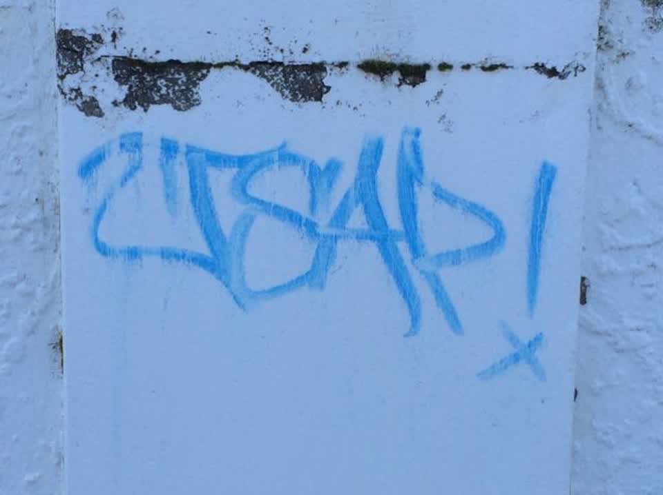 The photograph attached to this graffiti report