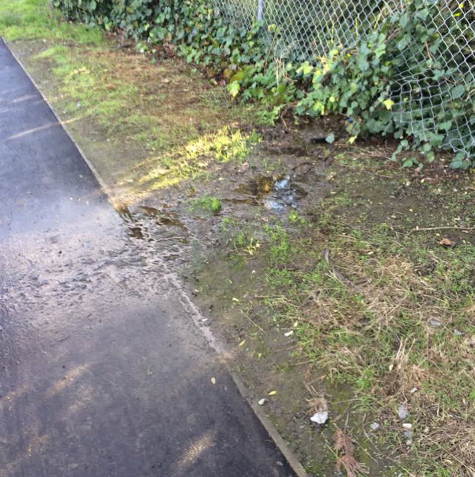 The photograph attached to this water supply report