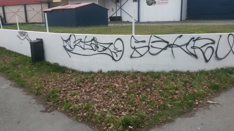 The photograph attached to this graffiti report