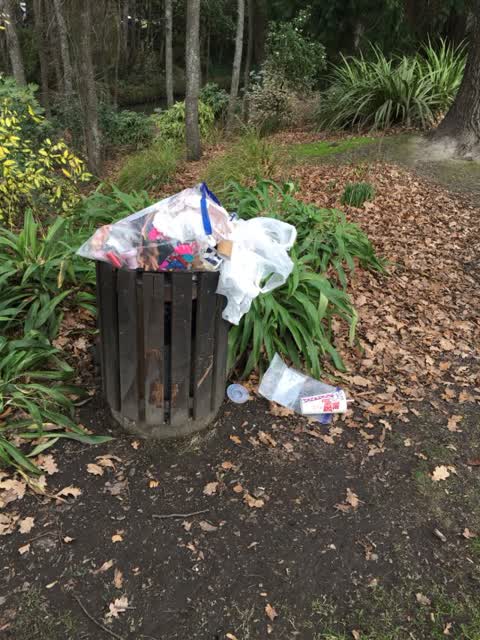 Rubbish/Recycling, a report photo