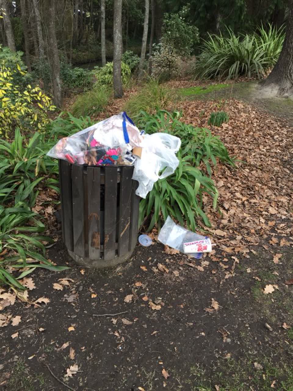 The photograph attached to this rubbish/recycling report