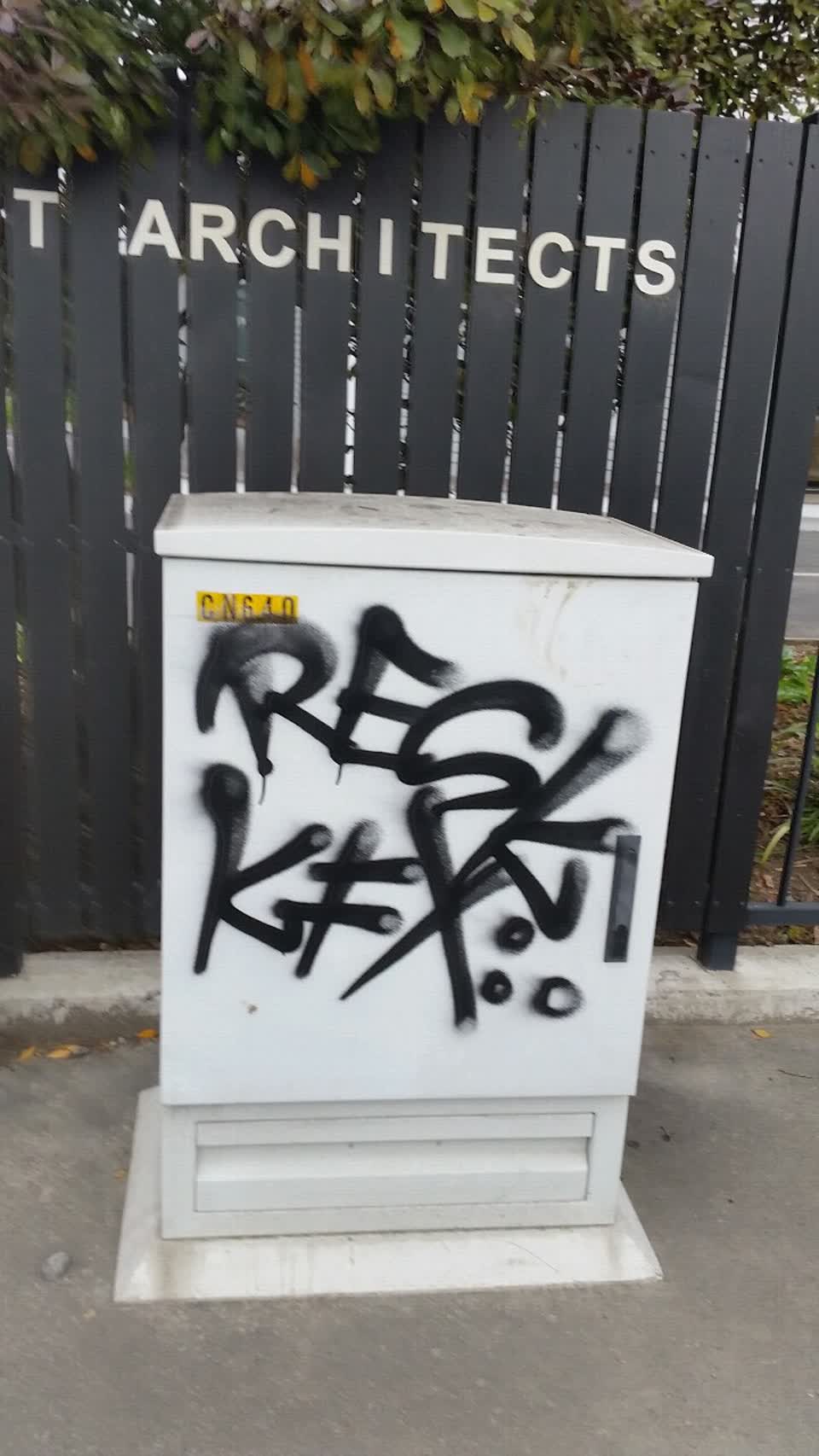 The photograph attached to this graffiti report