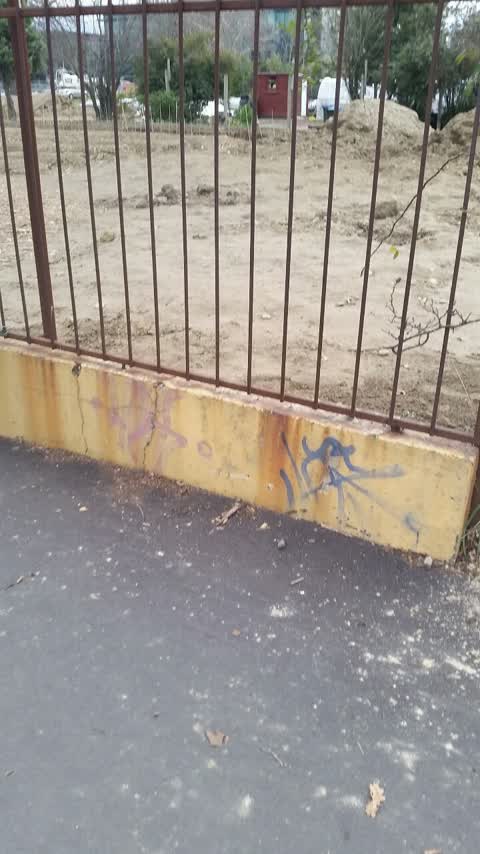 Graffiti, a report photo