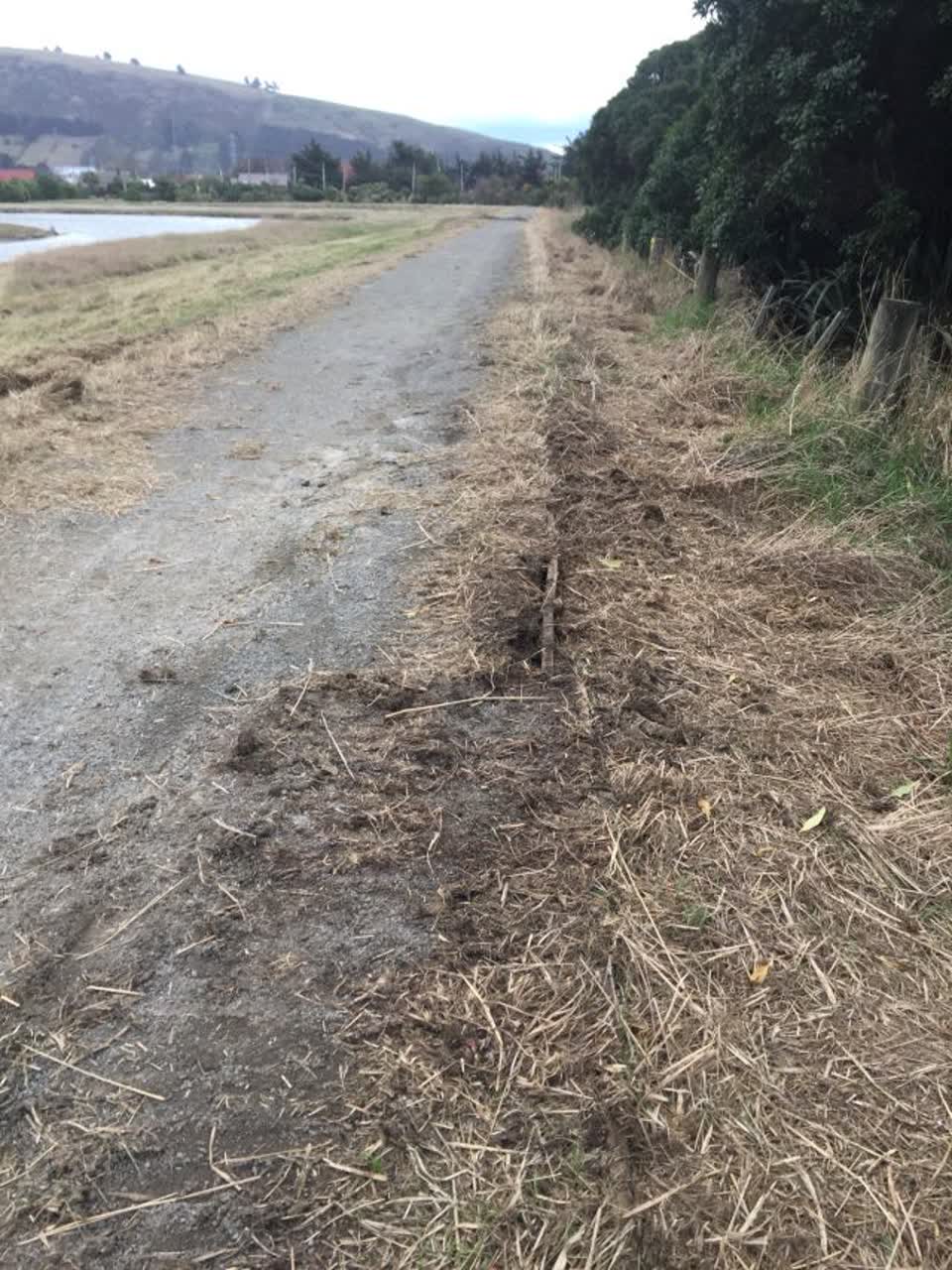 The photograph attached to this parks report