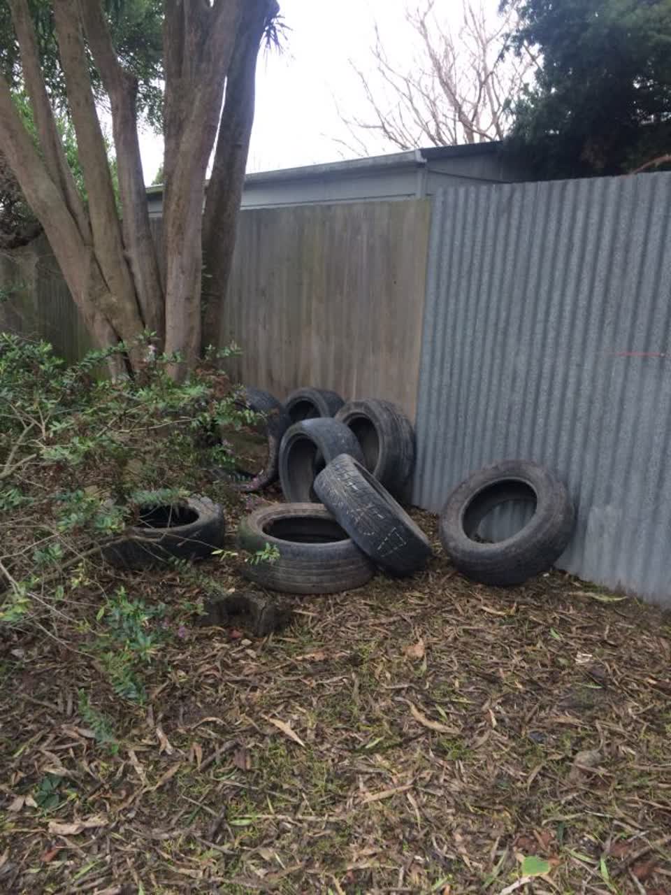 The photograph attached to this parks report