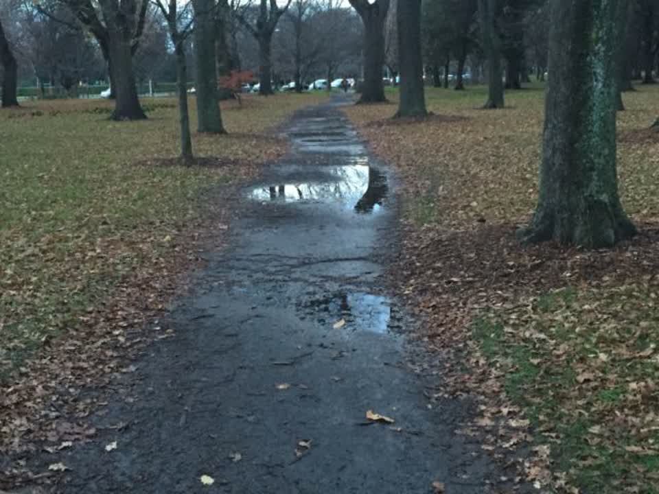 The photograph attached to this parks report