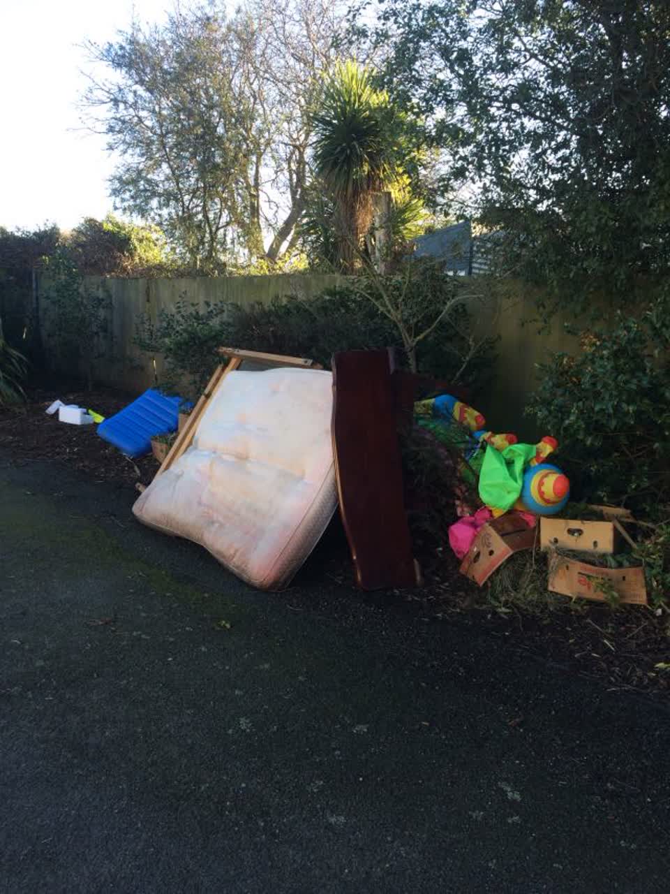 The photograph attached to this parks report