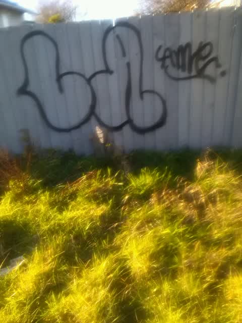 Graffiti, a report photo