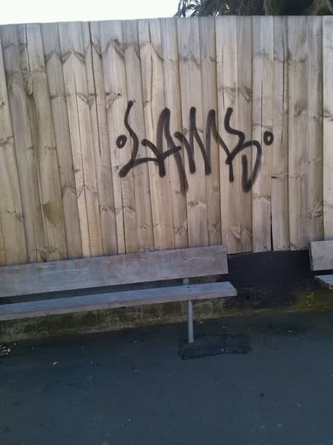 Graffiti, a report photo