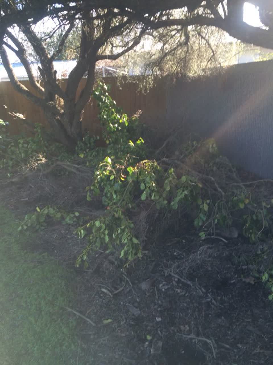 The photograph attached to this parks report