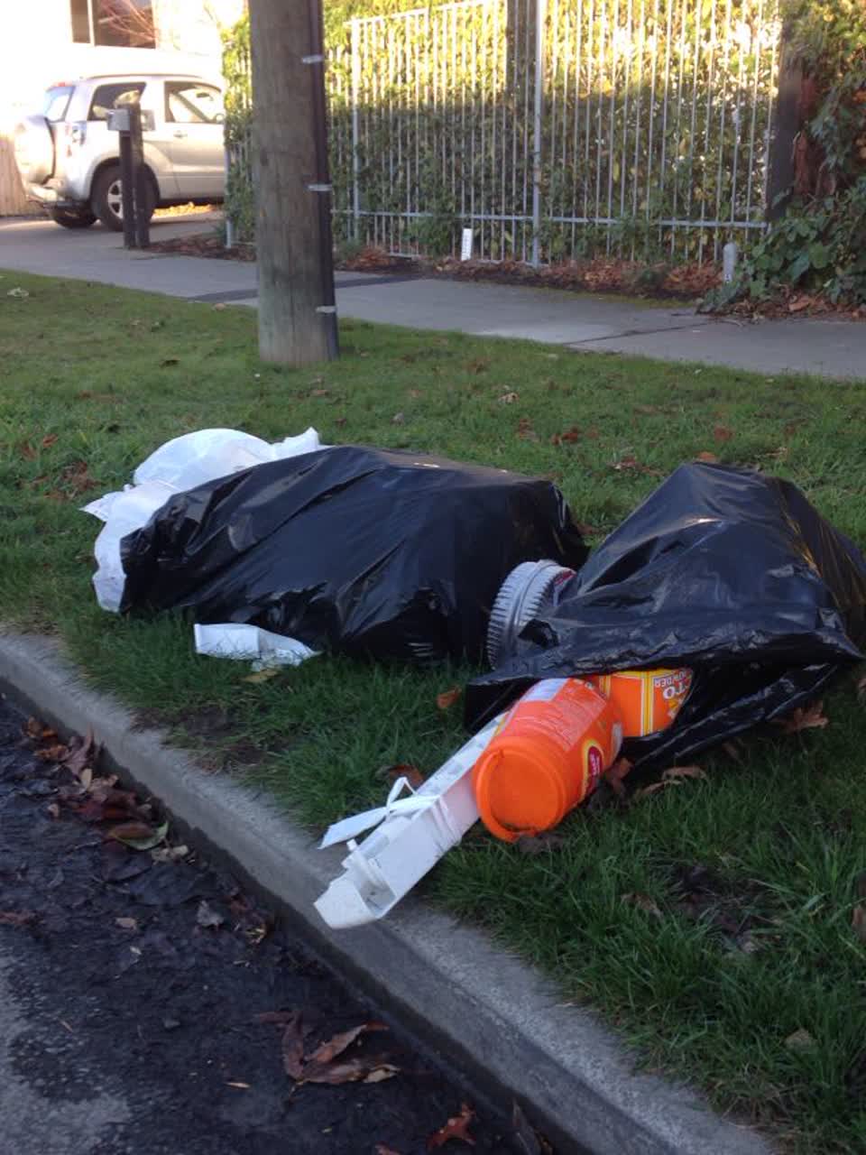 The photograph attached to this rubbish/recycling report